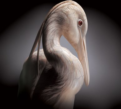 Egret – (Meiji Period – Late 1800’s)