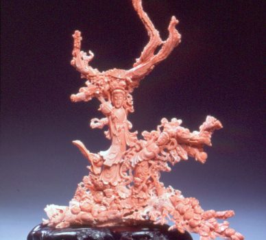 Coral Branch