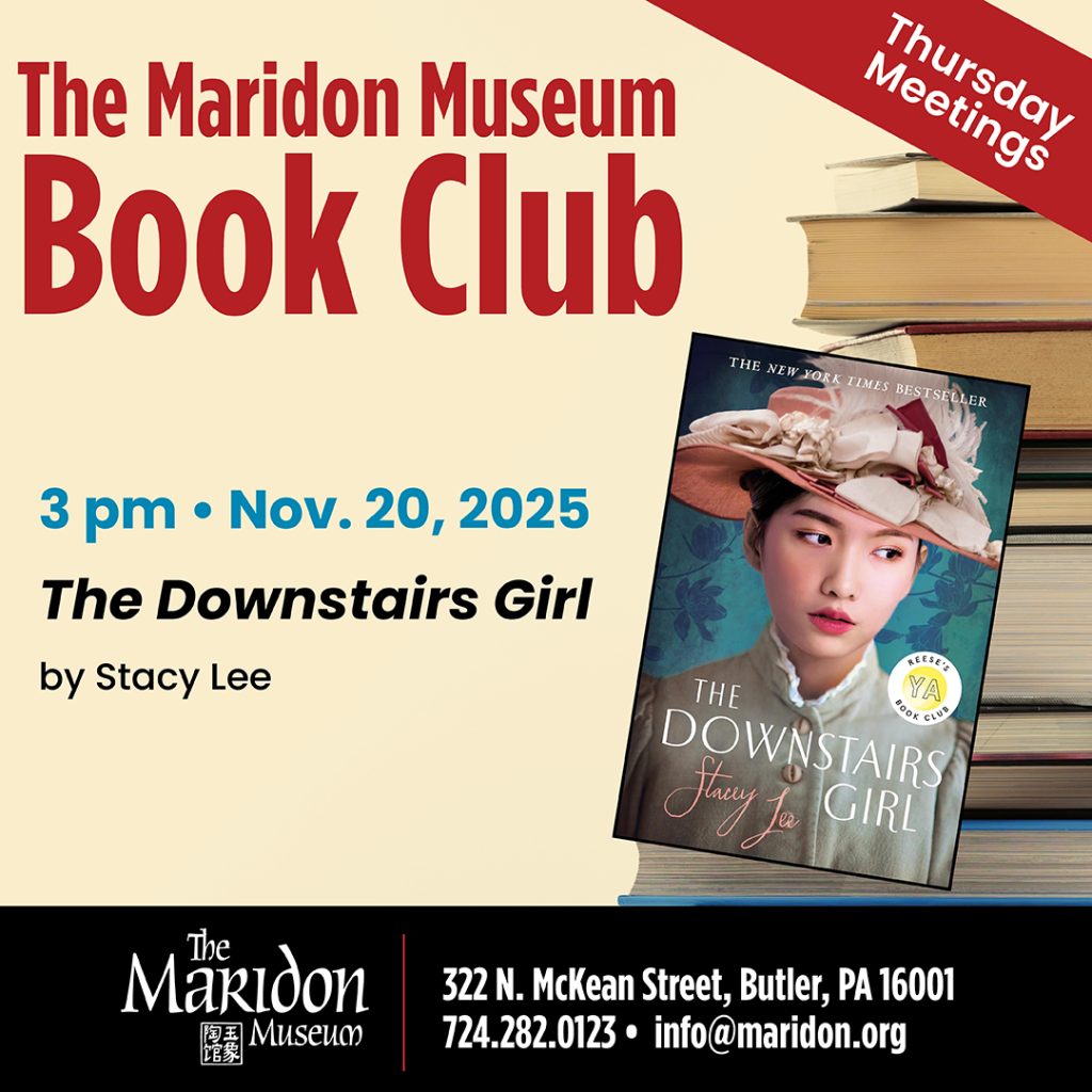 Nov. Book Club: The Downstairs Girl by Stacy Lee