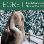 Inside the Winter 2026 Egret Newsletter